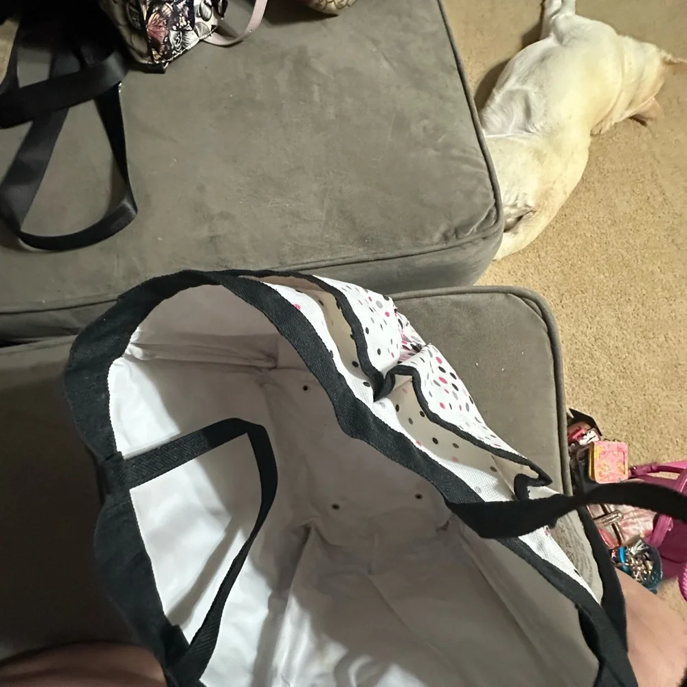 Shower bag or bather organizer